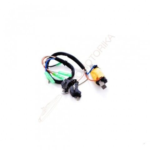 Катушка зажигания, лодочный мотор 25/30 л.с. (61N-85541-19) TW ( арт. 010230-869-7106 )
